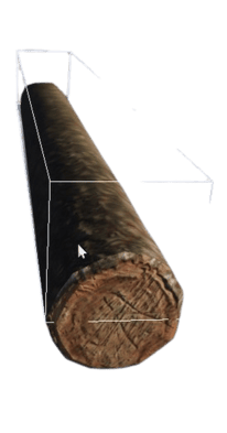 Tree Trunk